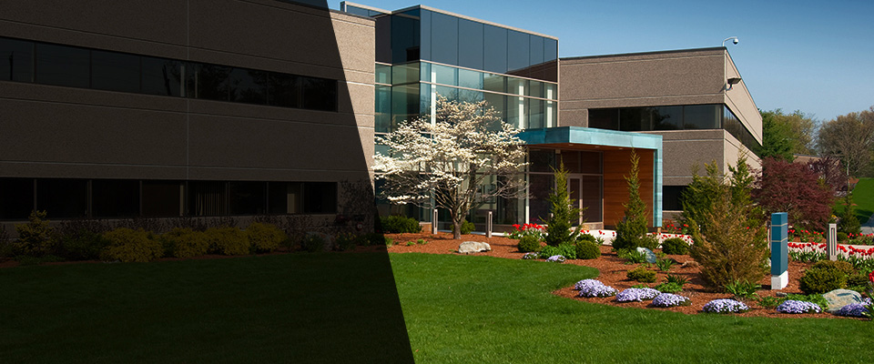 Summerfield Landscapers