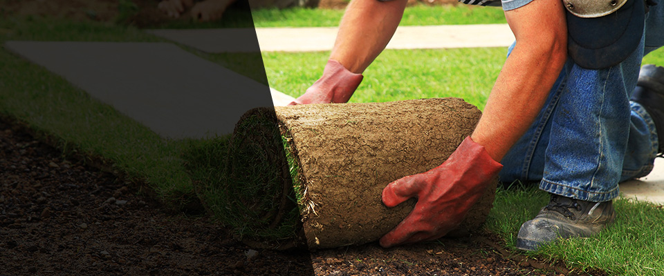 Summerfield Landscapers